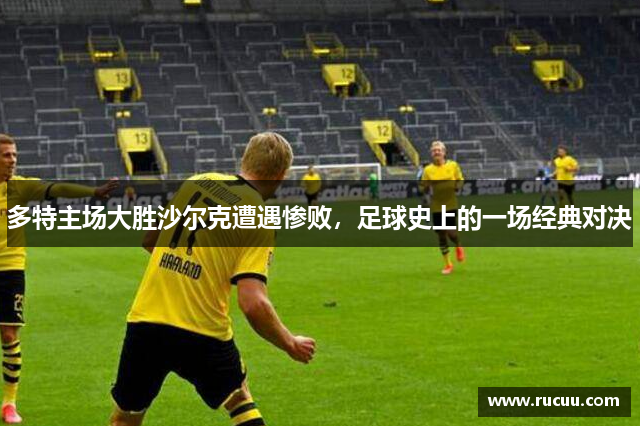 多特主场大胜沙尔克遭遇惨败，足球史上的一场经典对决