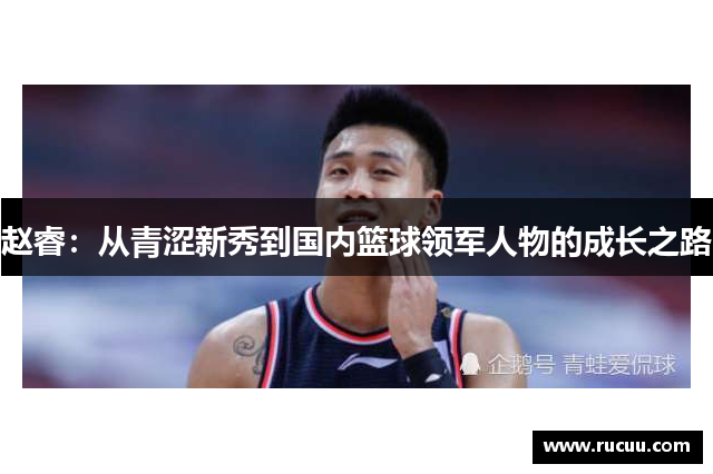 赵睿：从青涩新秀到国内篮球领军人物的成长之路